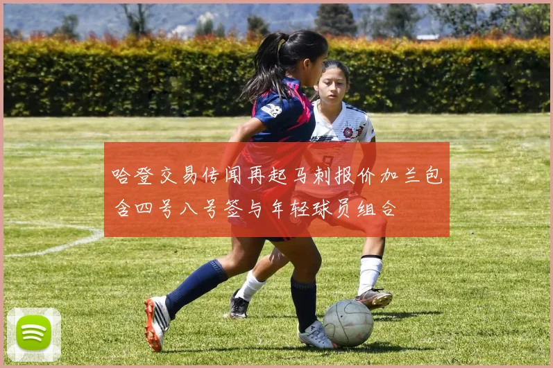 哈登交易传闻再起马刺报价加兰包含四号八号签与年轻球员组合