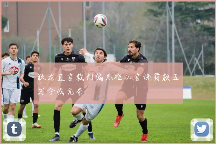 狄龙直言裁判偏见难以言说罚款五万令我无奈